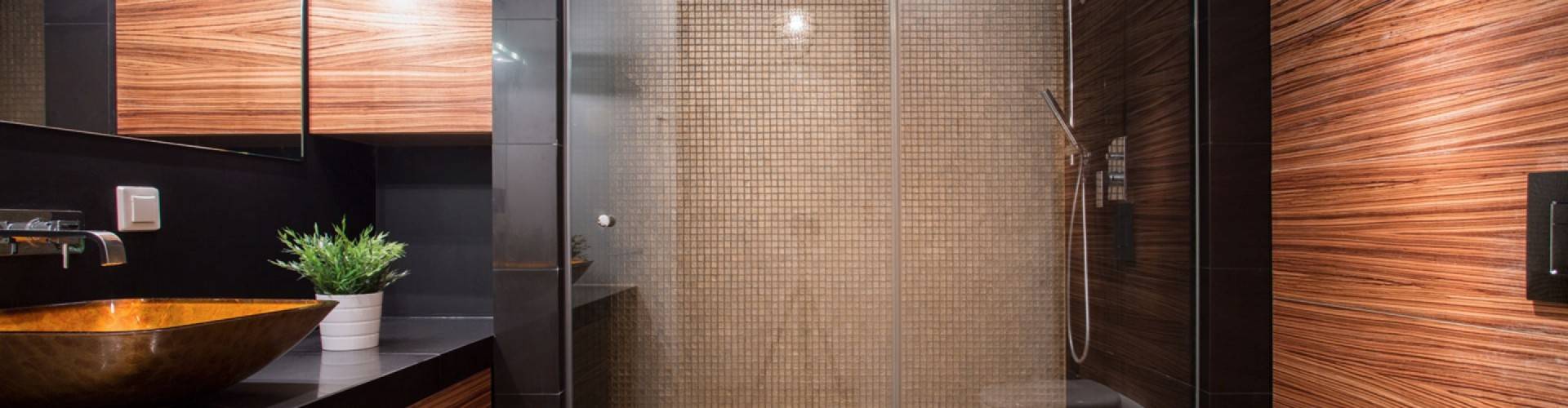 Edmonton Shower Doors