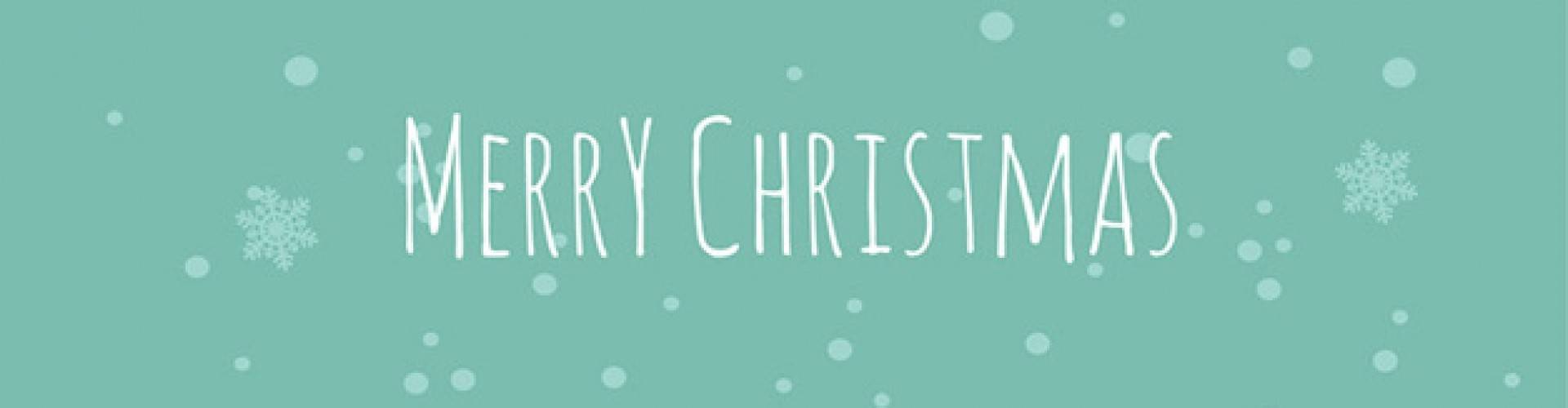 Merry Christmas Edmonton!