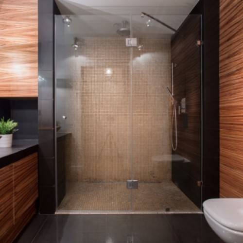 Edmonton Shower Doors