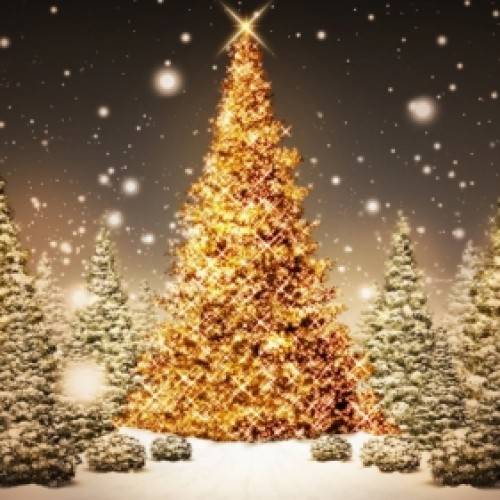 Merry Christmas from Top Shelf
