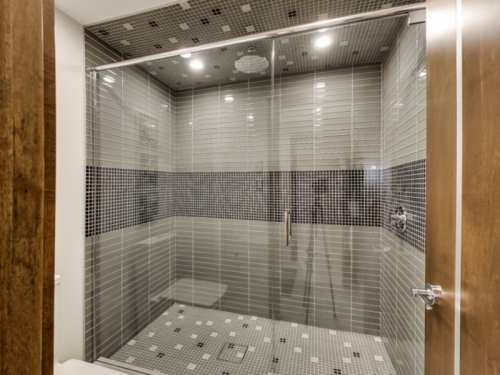 Frameless Shower Doors